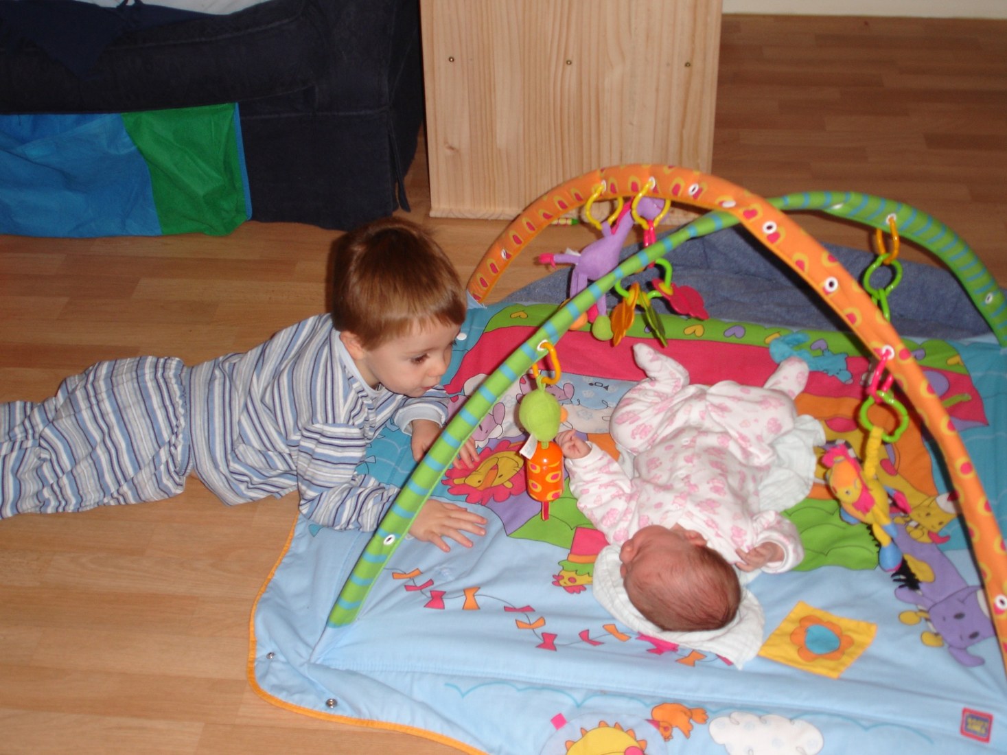 The children when the family grew